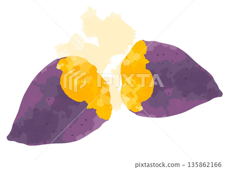 Illustration of delicious, steaming sweet potatoes Illustration of delicious, steaming sweet potatoes 135862166