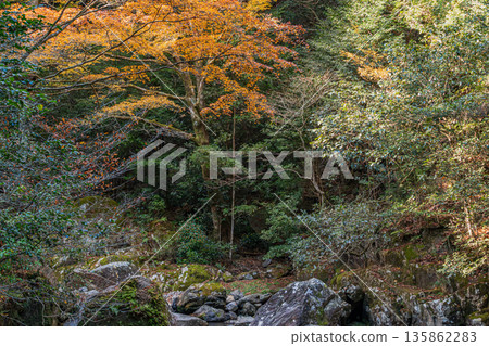 愛知縣岡崎市倉漾谷的景色 135862283