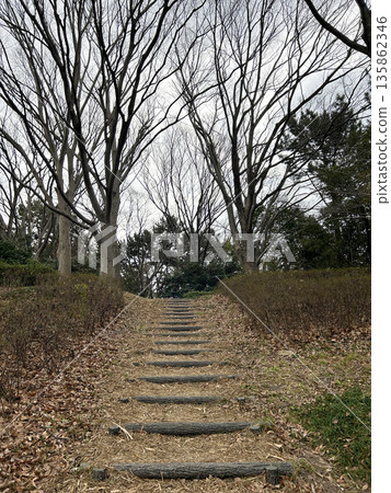 Winter park and stairs Winter park and stairs 135862346