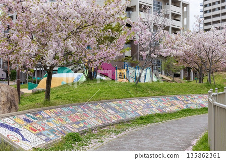 Cherry blossoms in full bloom at HAT Kobe Yume Park in Chuo Ward, Kobe City Cherry blossoms in full bloom at HAT Kobe Yume Park in Chuo Ward, Kobe City 135862361