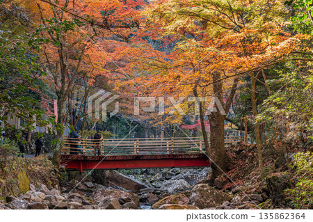 愛知縣岡崎市倉漾谷的景色 135862364