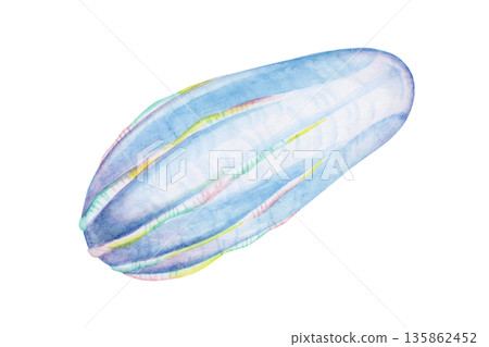 深海水母，水母，深海生物，水彩插圖 135862452