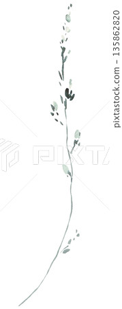 Watercolor twig with light green leaves isolated illustration, pastel wedding stationery element 135862820