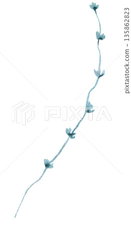 Watercolor twig with light green leaves isolated illustration, pastel wedding stationery element 135862823