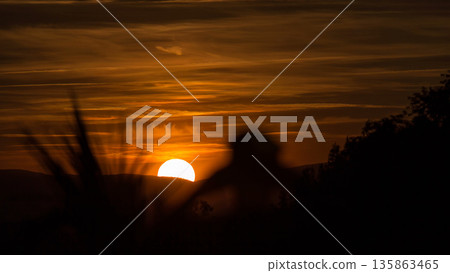 People admiring the sunset timelapse near Temple of Debod Park in Madrid. 135863465