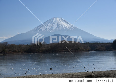 Mount Fuji from the shore of Lake Shoji 135864191