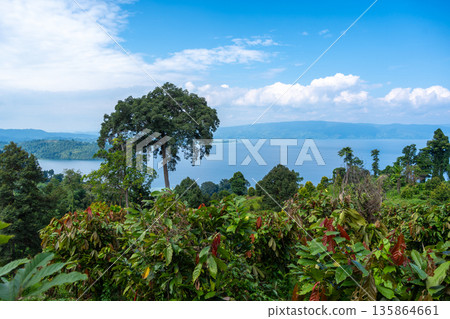 Panoramic view of Lake Poso in Tentena, Sulawesi, Indonesia 135864661