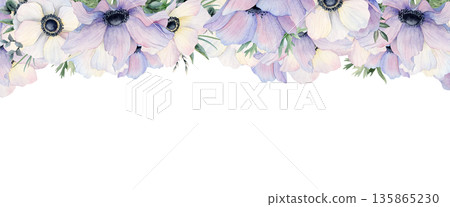 Pastel violet and white filed poppies watercolor upper banner. Light purple anemone flowers hand drawn isolated illustration. Botanical floral horizontal template with wildflowers for spring designs 135865230