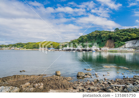 愛知縣蒲郡市 135865750