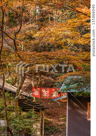 Scenery of Kuragari Valley in Okazaki City (Aichi Prefecture) Scenery of Kuragari Valley in Okazaki City (Aichi Prefecture) 135866040