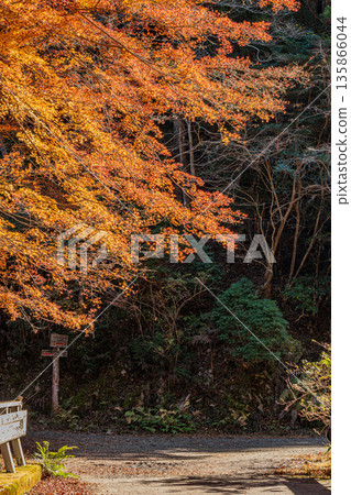 Scenery of Kuragari Valley in Okazaki City (Aichi Prefecture) 135866044