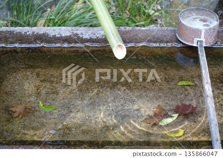 Fallen leaves sinking in the water basin Fallen leaves sinking in the water basin 135866047