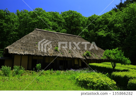 與池塘的風景 與池塘的風景 135866282