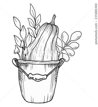 A garden bucket with a pumpkin, leaves, and mushrooms. Botanical vector illustration. Hand-drawn in black ink. Outline drawing for seasonal holidays, harvest and gardening. Thanksgiving 135866300
