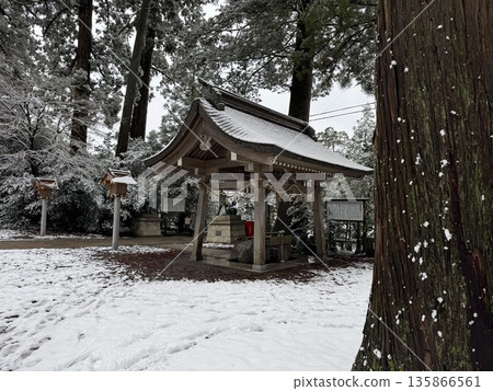 Snow-covered temple grounds (Photo taken at Kintsugi Shrine in Hakusan City, Ishikawa Prefecture, January) 135866561