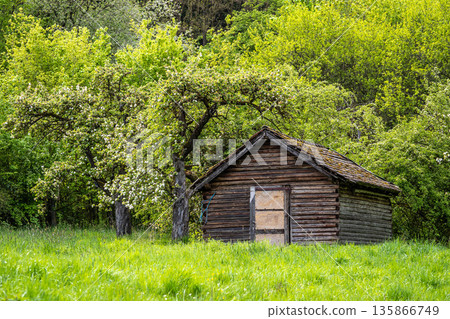 Old wooden cabin with intricate carvings and a birch railing nestled in a lush green forest, evoking history and tranquility Old wooden cabin with intricate carvings and a birch railing nestled in a lush green forest, evoking history and tranquility 135866749