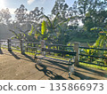 Sunlit Bench Overlooking a Serene River 135866973