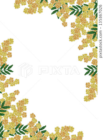 [Mimosa frame] Hand embroidery illustration material 135867026