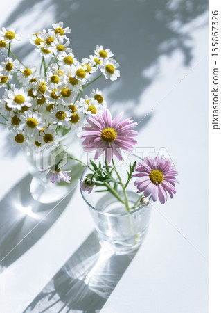 春花：玻璃瓶中光影交錯的母菊和粉紅萬壽菊（豎圖） 135867326