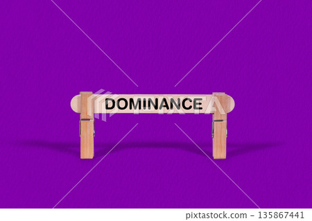 Dominance symbol. Wooden stick suspended by Clothespins, Purple hues Backdrop. Business and Dominance concept with copy space Dominance symbol. Wooden stick suspended by Clothespins, Purple hues Backdrop. Business and Dominance concept with copy space 135867441