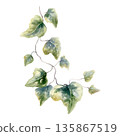 Ivy branch with abstract spotted patterns in green and ochre tones.Painted in soft watercolor with organic textures,for modern weddings,creative branding,nature inspired floral designs 135867519