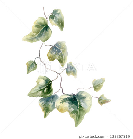 Ivy branch with abstract spotted patterns in green and ochre tones.Painted in soft watercolor with organic textures,for modern weddings,creative branding,nature inspired floral designs 135867519