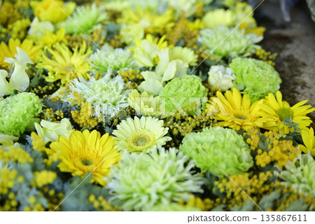 花水 花水 135867611