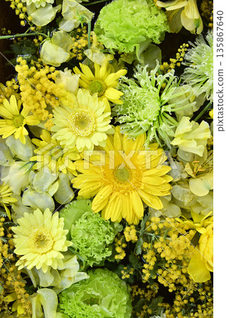 花水 花水 135867640