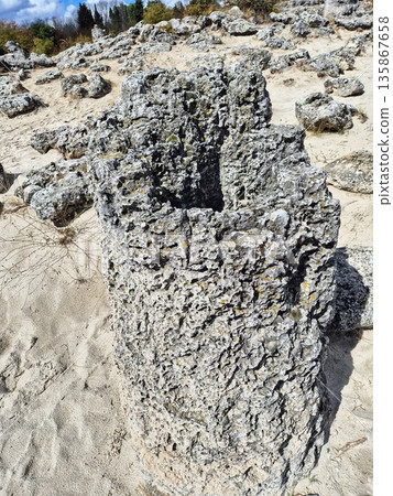 Pobiti Kamani, Natural Bulgarian Wonder. Natural column 135867658