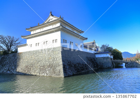 [Shizuoka Prefecture] Sunpu Castle's Tatsumi Tower on a clear day 135867702