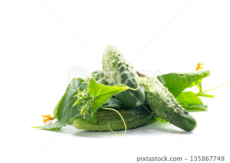 Natural crispy cucumbers lie together with green leaves and flowers 135867749