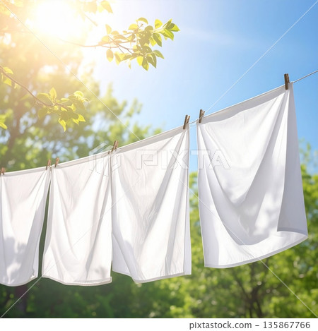 陽光明媚，床單潔白，這景象讓人聯想到家務和日常生活的樂趣。 135867766