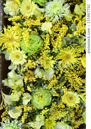 花水 花水 135867792