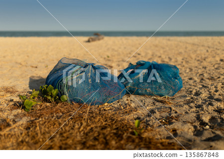 Blue Fishing Nets Prepared on Sandy Beach for Daily Harvest Blue Fishing Nets Prepared on Sandy Beach for Daily Harvest 135867848