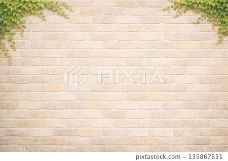 Background material ・ Ivy and brick wall 135867851