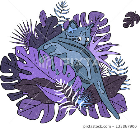 tropical, monstera, leaf 135867900