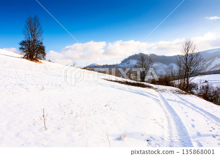 winter landscape with snow covered forested hills. carpathian mountains in cold weather under blue sky. rural scene on a sunny day. background for christmas holidays in alpine region of ukraine 135868001