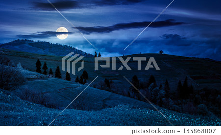 scenery with grassy rural fields near the forest on hill at night. countryside landscape on cloudy weather in spring full moon light. background for fake news or conspiracy concept 135868007