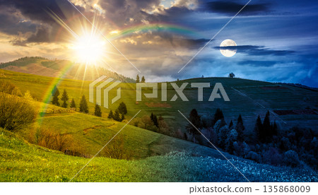 scenery with grassy rural fields near forest on hill. day and night time change concept. countryside landscape on cloudy weather in spring with sun and moon at twilight. equality and shift template 135868009