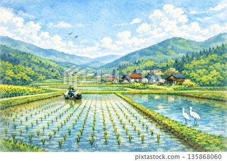 Japanese Satoyama Landscape Rice Field Rice Planting Spring Watercolor 135868060