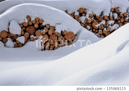 260126 Norikura foothills z361 135868115