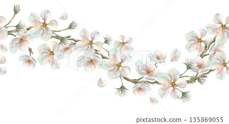A floral garland of apple blossom branches with white flowers in delicate pastel shades. Hand-drawn watercolor illustration. A seamless wave border pattern for spring holiday and wedding designs. 135869055
