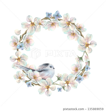 A wreath of apple blossom branches with white flowers and blue forget-me-nots and a titmouse. Hand-drawn watercolor illustration. A round frame template for text, spring holiday, wedding decorations. A wreath of apple blossom branches with white flowers and blue forget-me-nots and a titmouse. Hand-drawn watercolor illustration. A round frame template for text, spring holiday, wedding decorations. 135869059