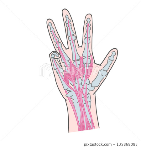 Bending the little finger Bending the little finger 135869085