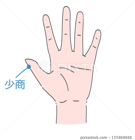 手部少上穴位 手部少上穴位 135869088