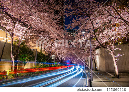 Roppongi Sakurazaka cherry blossom illuminations and urban light trails 135869218