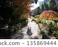 Autumn leaves and women 135869444