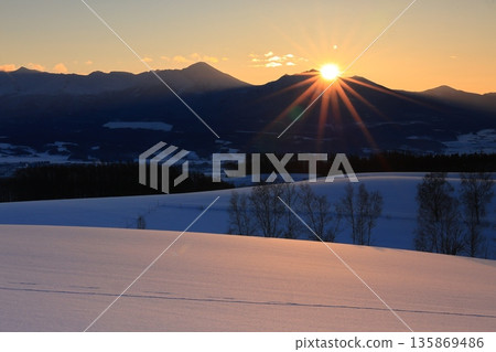 陽光灑在白雪皚皚的田野上，波光粼粼——十勝山脈 135869486