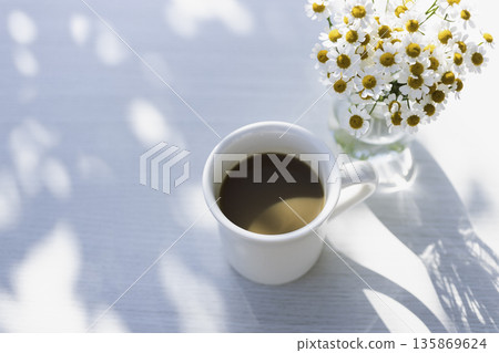White table with sunlight filtering through the trees, coffee, matricaria, and a notebook (horizontal, blank space) 135869624