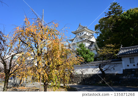 城堡天守閣與秋櫻(大垣城) 城堡天守閣與秋櫻(大垣城) 135871268